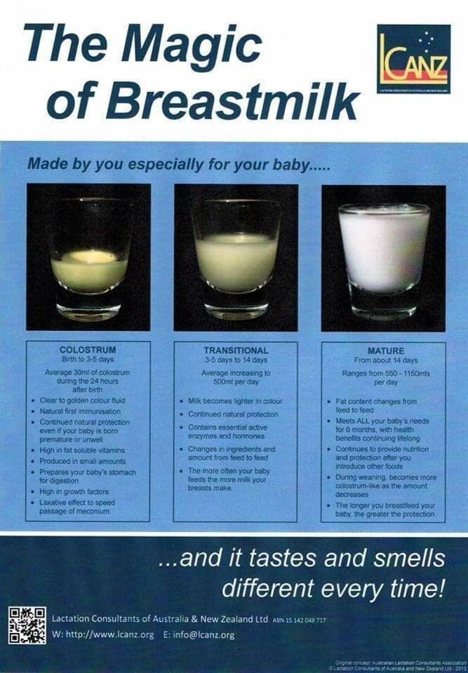 The Magic Of Breastmilk Unique Attachment